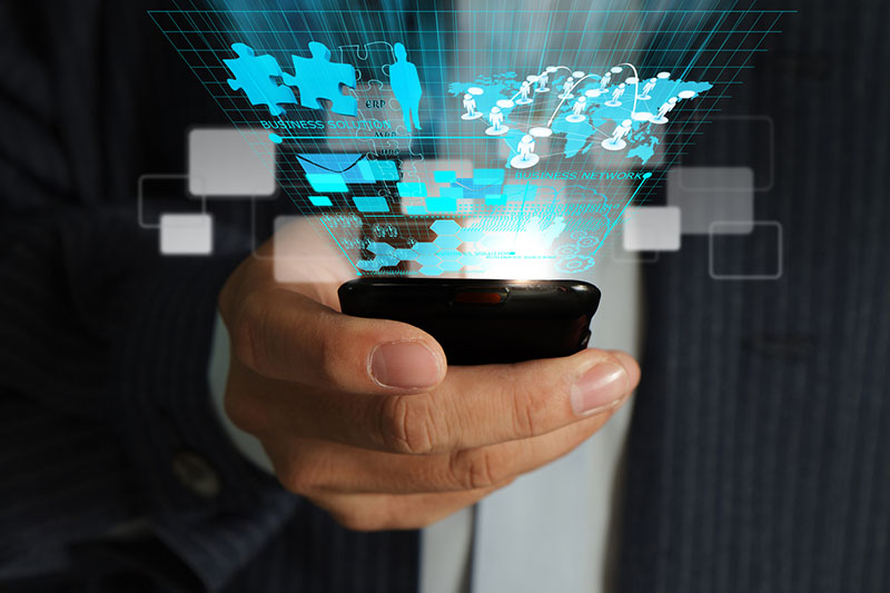 Field work with the mobile application